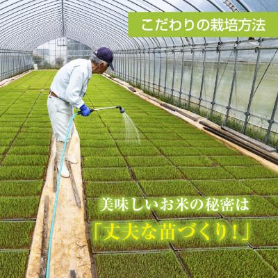 ふるさと納税 十日町市 【令和7年産】 魚沼産 川西 こしひかり 8kg 精米 新潟県産 お米 産地直送 十日町 |  | 01
