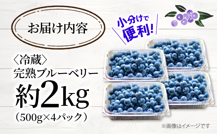 【2026年6月中旬より順次発送】【栽培期間中 農薬不使用】完熟 ブルーベリー 計2kg＜広津農園＞ [CBN009]