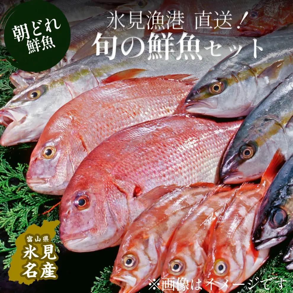 天然のいけす 富山湾 氷見漁港 旬の鮮魚セット※配送地域限定