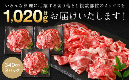 【訳あり】 くまもと黒毛和牛 切り落とし 1.2kg 毎月数量限定 ミックス 牛肉