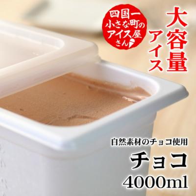 ふるさと納税 田野町 【四国一小さなまちのアイス屋さん】≪松崎冷菓≫大容量アイス4000ml ★チョコ★ |  | 01