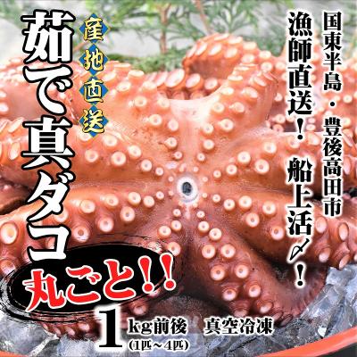 ふるさと納税 豊後高田市 船上活締め!!ゆで真ダコ丸ごと(1〜4匹)