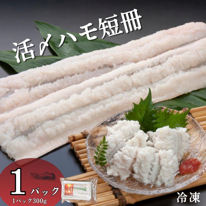 活〆鱧短冊300g 冷凍 鱧 ハモ 鱧短冊 北風鮮魚 愛媛県 伊予市 | A86