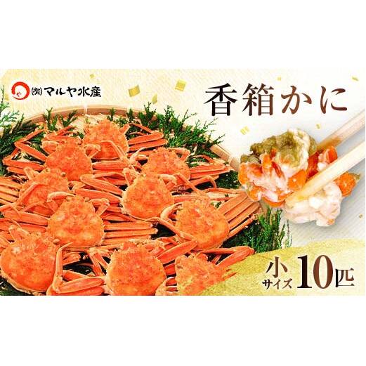 石川県産 香箱蟹 せいこ 小サイズ 10匹 詰合せ 12月16日～12月26日発送 浜茹で 産地直送 ズワイガニ ずわいがに ずわい蟹の雌 先行予約 予約 せいこ 蟹 かに グルメ F6P-2769