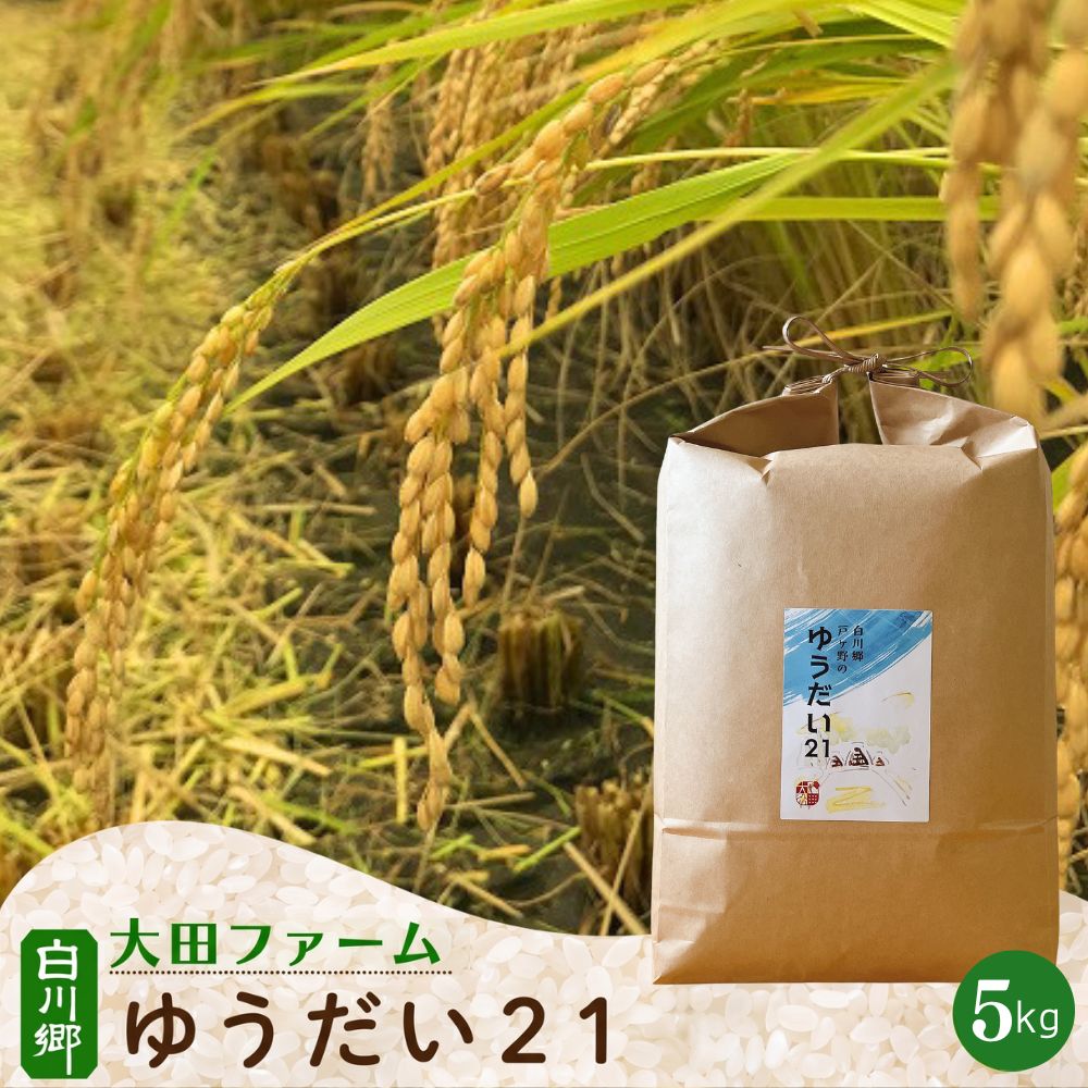 【ふるさと納税】 【令和8年産 先行予約】白川郷 ゆうだい21　5kg こだわりのお米 精米 ゆうだい ごはん おにぎり ご飯 食事 米 白米 弁当 甘い もっちり 岐阜県 飛騨 世界最高米認定農家 大田ファーム 20000円 [S992]