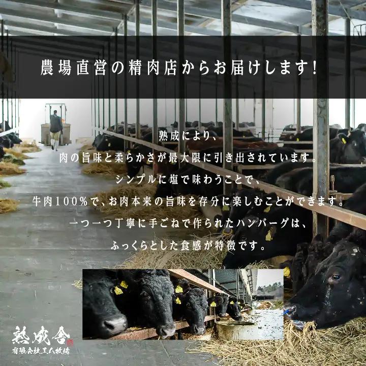 熟成牛 手ごねハンバーグ 3kg（150g×20袋）ハンバーグ 国産 牛肉 