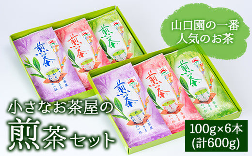 
小さいお茶屋の煎茶セット(煎茶100g×6本・合計600g) 鹿児島県産 煎茶 セット【お茶の山口園】A185-v01
