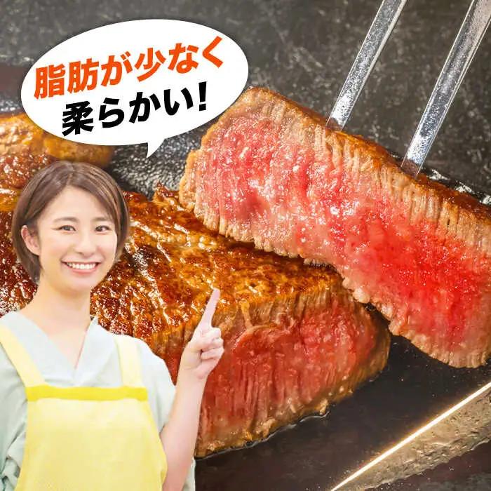 【全3回定期便】おおいた豊後牛 ヒレステーキ 450g(150g×3枚) 日田市 黒毛和牛 ステーキ 牛肉 フィレ 豊後牛 ヒレ [AREI119]