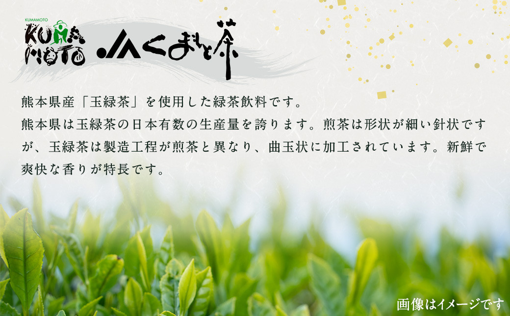 森のくまさん 緑茶飲料 500ml×24本入
