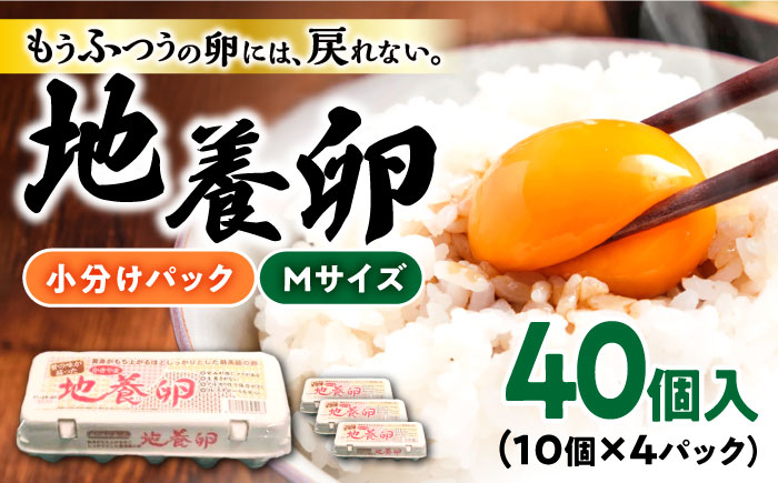 
最高級 卵 地養卵 Mサイズ 40個 長崎県産 西海市 たまご 卵 玉子 タマゴ 鶏卵 オムレツ 卵かけご飯 朝食 料理 人気 卵焼き＜垣山養鶏園＞ [CBB017]
