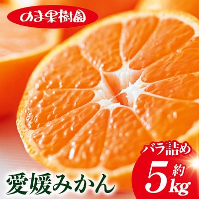のま果樹園の愛媛みかん(約5kg)バラ詰め【1759299】
