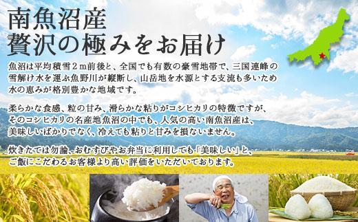 【新米発送】  令和6年産 新潟県 南魚沼産 コシヒカリ お米 5kg 精米済み（お米の美味しい炊き方ガイド付き） お米 こめ 白米 新米 こしひかり 食品 人気 おすすめ 送料無料 魚沼 南魚沼 南