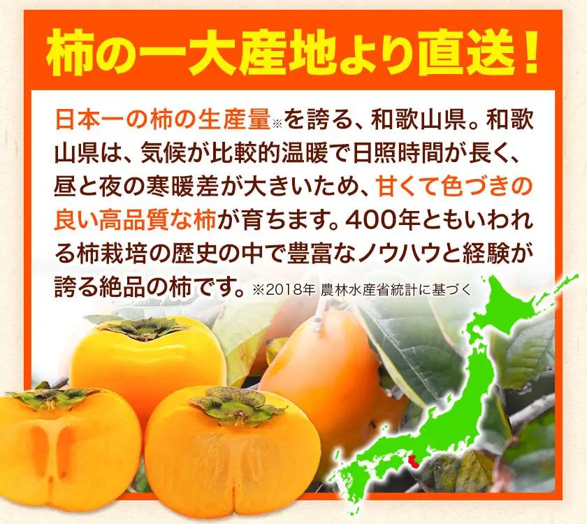 柿 たねなし柿 約7.5kg