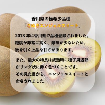 ふるさと納税 丸亀市 先行受付 さぬきエンジェルスイート 約1kg キウイフルーツ 香川県 丸亀市 発送11月上旬〜 |  | 01