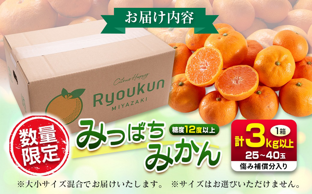 先行予約 みつばちみかん 計3kg以上 傷み補償分入り 期間限定 数量限定 果物 くだもの フルーツ 蜜柑 ミカン 柑橘 オレンジ おやつ デザート みかんジュース 飲み物 小ぶり おすすめ おすそ分
