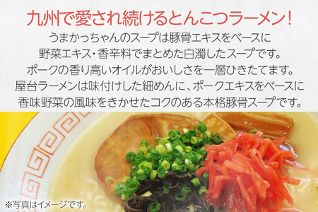 九州の味豚骨ラーメン2種×10食セット（合計20食：うまかっちゃん10食・屋台ラーメン10食）お取り寄せグルメ お取り寄せ 福岡 お土産 九州 福岡土産 取り寄せ グルメ 福岡県