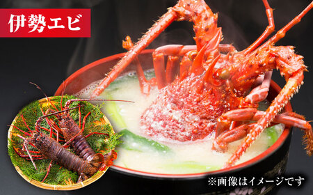 伊勢海老・アワビ・サザエ（計1.5kg）伊勢海老 [AGBP005] 