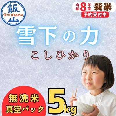 ふるさと納税 飯山市 【令和8年新米予約】 雪下の力 こしひかり 無洗米 5kg 真空パック