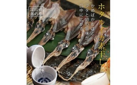 越中氷見屋　ホタルイカ 素干し 18尾入り × 5袋　| ホタルイカ ほたるいか いか 珍味 素干し 富山 富山湾 氷見 つまみ 酒の肴 産地直送 無添加 魚介 名産 小分け 姿干し