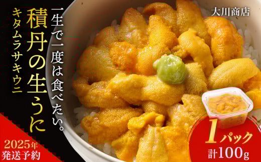 【2025年夏発送分】ムラサキウニ100g×1パック