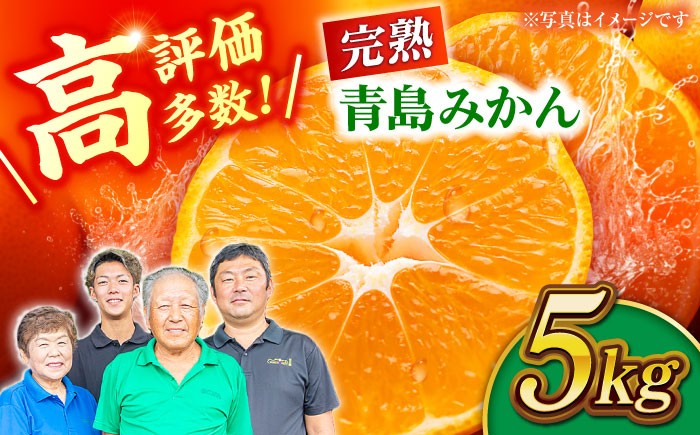 
【先行予約】完熟 青島 みかん 約5kg【合同会社 社方園】ミカン 熊本 5キロ 柑橘 熊本 [ZBZ003]
