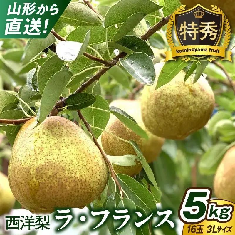西洋梨（ラ・フランス）　５ｋｇ　１６玉　特秀品　0079-2621