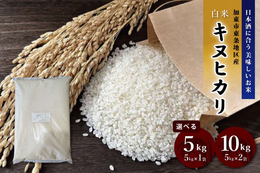 
                  令和7年産 キヌヒカリ 白米 5kg・10kg (5kg×2) / 加東市東条地区産 お米 精米 訳あり 簡易包装 米 コメ きぬひかり 兵庫県産 5キロ 10キロ ライス 日本酒に合うキヌヒカリ
                