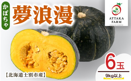 
                  《先行予約受付中》＜季節限定＞北海道士別産 かぼちゃ「夢浪漫」(6玉・約9kg以上)【2026年9月上旬以降発送予定】 野菜 南瓜 カボチャ 士別市産 北海道産 道産 産地直送 旬 9kg 【あったかふぁーむ】【B7147】
                