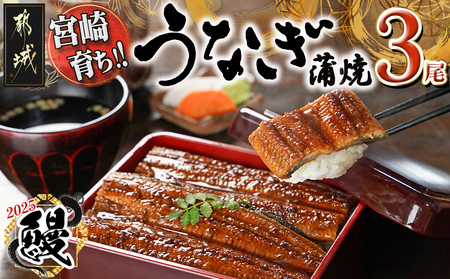 【数量限定】【丑の日】宮崎県育ちのうなぎ蒲焼3尾500g以上≪山椒・たれ付≫≪7月10日～18日お届け≫_17-M301-UG_(都城市) うなぎ蒲焼(有頭) 宮崎県産 真空 山椒・たれ付 丑の日