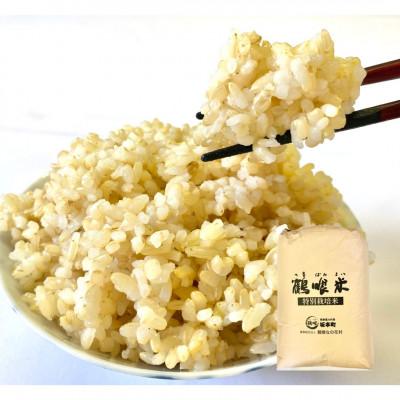 ふるさと納税 八代市 【新米 令和7年産】鶴喰米 玄米(くまさんの輝き) 30kg