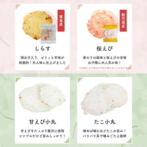 えびせん重箱 海原 えびせんパーク 煎餅 せんべい 海老せんべい たこせん たこせんべい いかせんべい 海老 いか たこ 姿焼き 詰め合わせ お菓子 おつまみ おやつ 美浜町 愛知県 特産品 おみやげ
