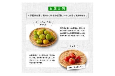 【定期便】産直おすず村 季節の野菜と果物 厳選 詰め合わせセット（大） 全4回【旬野菜 フルーツ 直売所 産地直送 宮崎県産】