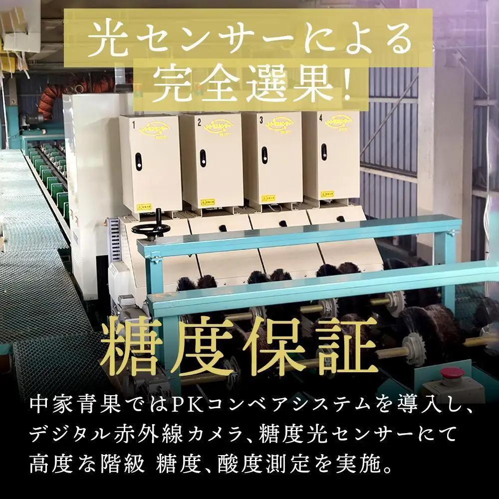 和歌山県産 糖度9.5度 以上 訳あり みかん 7kg 傷み補償+200g 3S ～ 2Ｌサイズ混合【MG58】みかん 柑橘 果物 甘い おすすめ 和歌山県 高野町