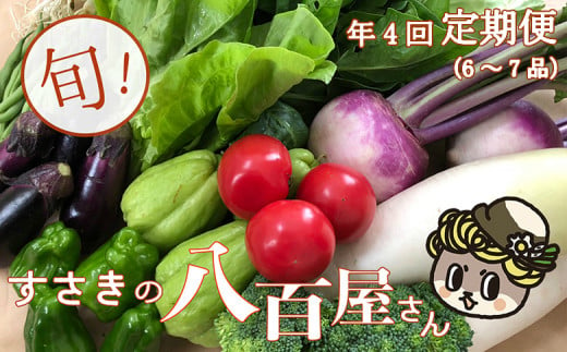 
定期便 4回 旬 野菜 詰め合わせ セット 6 ～ 7品 数量限定 限定80セット やさい 送料無料 頒布会 ほうれん草 ブロッコリー ニンジン 人参 じゃがいも 白菜 キャベツ 小松菜 ピーマン ししとう タマネギ オクラ なす ネギ さつまいも 里芋 にんにく きゅうり しょうが 生姜 NK5000
