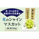 【ふるさと納税】 【令和7年産先行予約】【最優秀賞W受賞農家】 冬のシャインマスカット 約700g (1房 秀) 《令和7年12月上旬～発送》『生産者 佐藤 大輔』 マスカット ぶどう 種なし 果物 フルーツ デザート 山形県 南陽市 [2237]