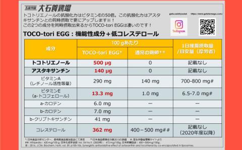 【黄身がつかめる！ブランド卵】TOCO-tori EGG ギフトBOX 卵 9個入り 高級卵 たまご 五島市 / 五島列島大石養鶏場 [PFQ001]
