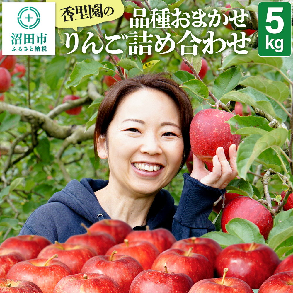 【ふるさと納税】《10月上旬〜11月下旬発送》香里園の品種おまかせ りんご詰め合わせ 5kg