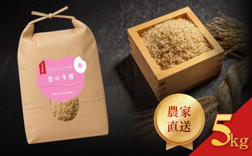 令和7年度米  恋の予感 玄米 5kg