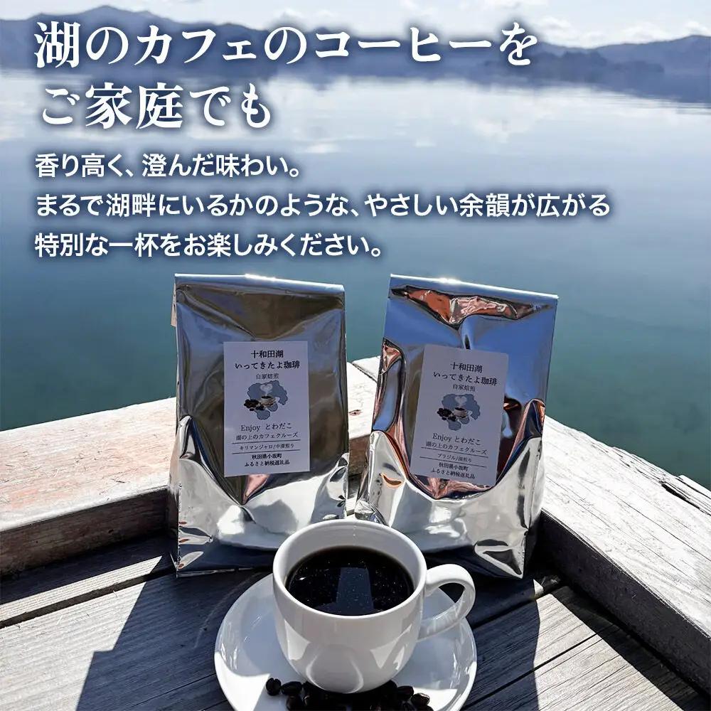 自家焙煎コーヒー キリマンジャロ （AAキボ）／中深煎り 豆100g