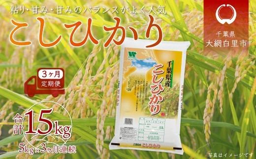 ＜3ヶ月定期便＞ 令和7年産 千葉県産「コシヒカリ」5kg×3ヶ月連続 計15kg ふるさと納税 米 定期便 5kg コシヒカリ 千葉県 大網白里市 送料無料　A025