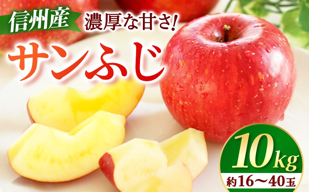 
                  【先行予約】りんご　サンふじ　約10kg　＜2026年11月下旬～12月中旬発送予定＞　リンゴ｜長野県産｜果物｜くだもの
                