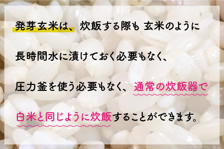 【令和7年産】【発芽玄米】コシヒカリ「特選」 特別栽培米使用 2kg 【無洗米 米 こしひかり 玄米 ギャバ GABA 特別栽培 食物繊維 栄養 真空パック ごはん ご飯 おいしい ふるさと納税米】 