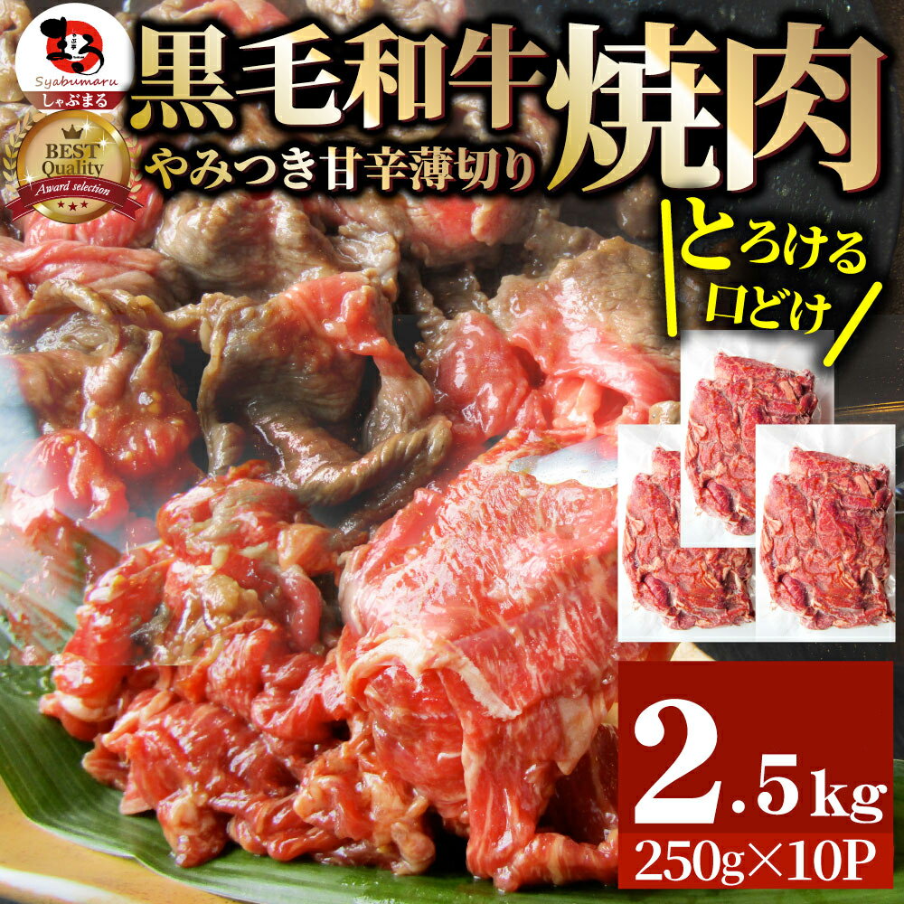 【ふるさと納税】1131-4　とろける黒毛和牛リッチな薄切り焼肉2.5kg(250g×10P) 秘伝のタレ漬け 肉 黒毛和牛 焼肉 タレ 漬け 秘伝 柔らかい 味付き やきにく ロース 肩ロース サーロイン カルビ モモ 薄切り 希少 小分け 冷凍 BBQ バーベキュー 香川県 三木町