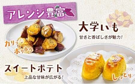 ＜定期便＞3回お届け！長期熟成 紅はるか 計3kg（1kg×3回）宮崎県都城市産 さつまいも サツマイモ