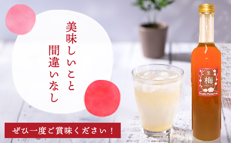 孫さんの紀州南高梅 梅シロップ 500ml×3本 イクス産業《30日以内に出荷予定(土日祝除く)》和歌山県 紀の川市 梅 シロップ