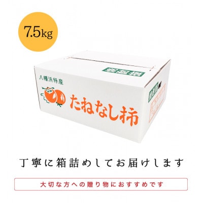 国安さんちのひらたねなし柿 訳あり15kg【D20−28】【1323617】