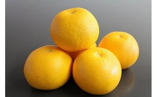 
            【数量限定】宮村農園のこだわり八朔・約8kg　　/秦野産 神奈川 八朔 宮村農園 限定 農園直送 フルーツ 柑橘 新鮮 甘い 健康 特別栽培法 ギフト 季節限定 フルーツギフト 美味 食品
          