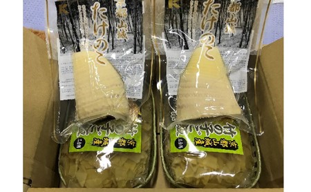 京都山城産 たけのこセット (カット、ご飯の素) 竹の子 竹の子カット 国産 京都山城産 無添加 たけのこ たけのこカット たけのこごはん 竹の子ごはんの素 ごはんの素 京都 木津川 035-01