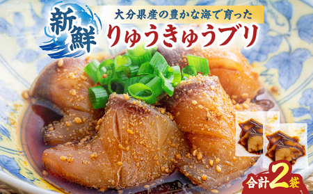 りゅうきゅうセット(ブリ)_B189-002