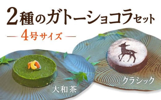 2種のガトーショコラセット（大和茶・クラシック） H-85